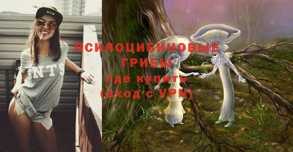 метадон Сафоново