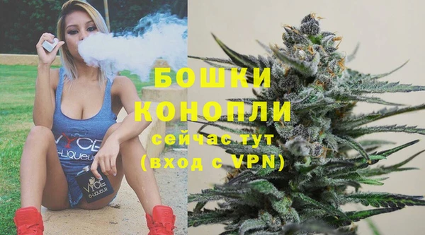 метадон Сатка