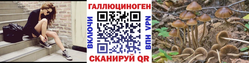 Купить где  Снежинск  Галлюциногенные грибы MAGIC MUSHROOMS 